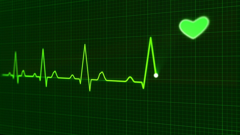 heartbeat monitor